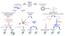 单细胞RNA测序原理和方法
