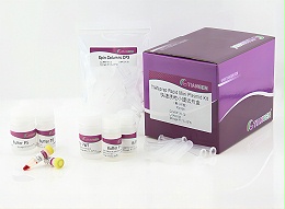 天根试剂-快速质粒小提试剂盒-DP105
