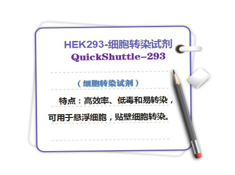 QuickShuttle-293 HEK293-细胞转染试剂