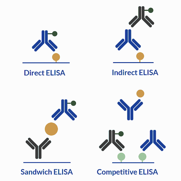 ELISA-酶联免疫检测试剂盒