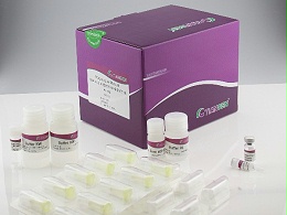 天根总rna提取试剂盒-植物rna提取试剂盒-DP432