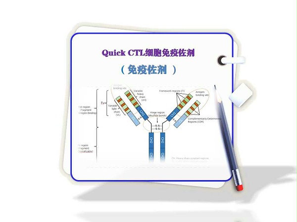 Quick CTL-细胞免疫佐剂-免疫佐剂​