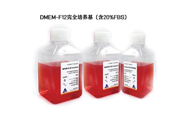 DMEM/F12 培养基