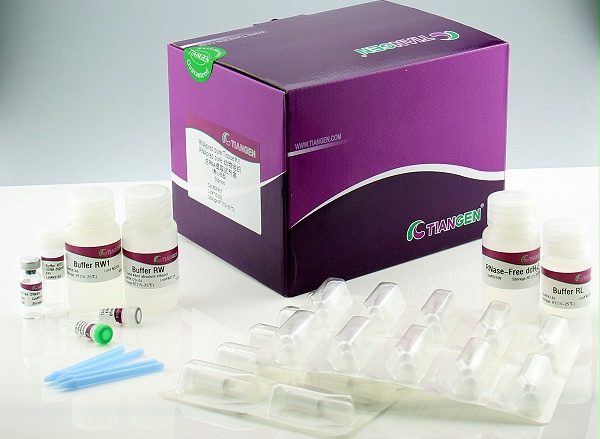 天根 动物组织总RNA提取试剂盒-DP431