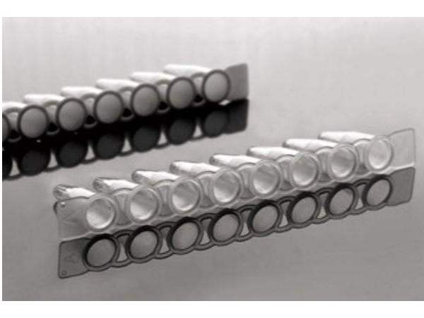 NEST PCR8联管-八排管