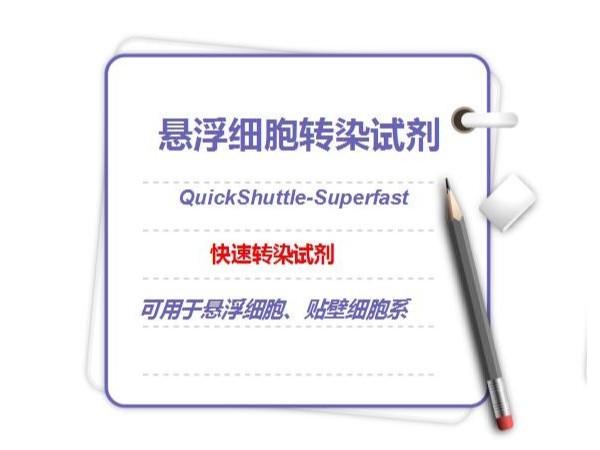 QuickShuttle-Superfast 转染试剂