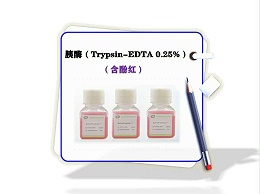 胰酶（Trypsin-EDTA 0.25%