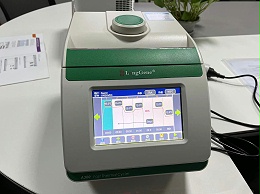 使用PCR仪进行PCR扩增技术在放射生物学中的应用