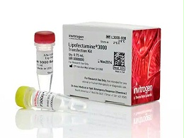 Lipofectamine 3000 转染试剂-LIP3000