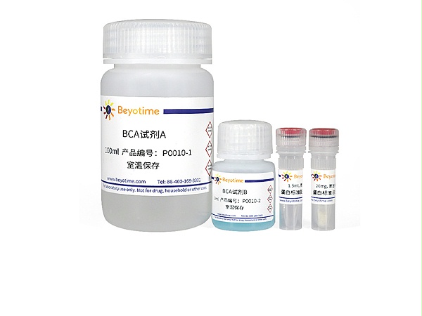 碧云天-P0010-BCA蛋白浓度测定试剂盒增强型