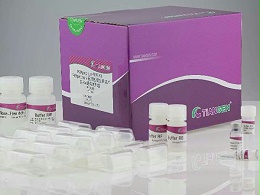 天根-石蜡包埋组织切片-总RNA提取试剂盒-DP439