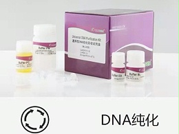 天根 DP204 普通DNA产物纯化试剂盒