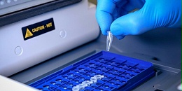 荧光定量PCR仪选型指南