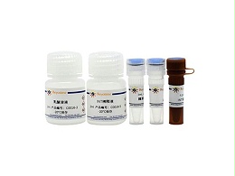 碧云天试剂-乳酸脱氢酶细胞毒性检测试剂盒-C0016