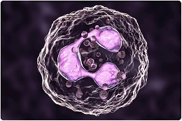 吞噬细胞-巨噬细胞-中性粒细胞和嗜酸性粒细胞有什么区别？