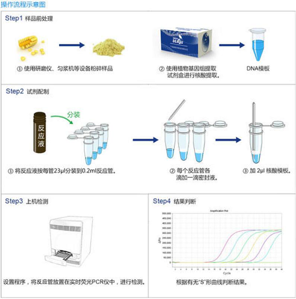 pcr实验步骤