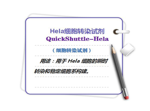 Hela细胞转染试剂-QuickShuttle-Hela