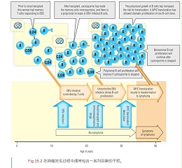 免疫荧光实验的步骤和方法