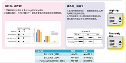 蛋白免疫印迹实验注意事项是什么？