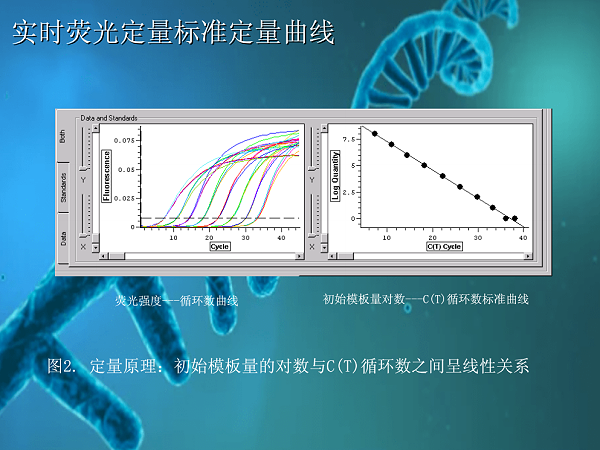 荧光定量PCR仪原理