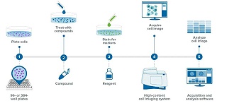 Cell Metric高分辨率孔板成像系统在单细胞克隆筛选中的应用