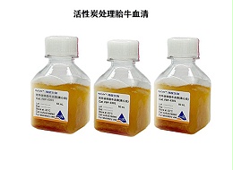 细胞状态差？选对国产预筛选胎牛血清是关键，按细胞类型推荐试用