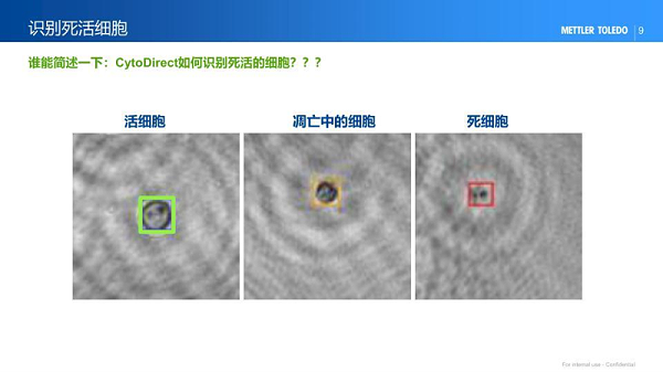 死细胞识别