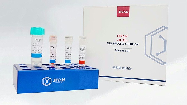 SE-Gel 类器官专用包埋胶
