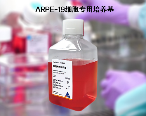 ARPE-19细胞专用培养基