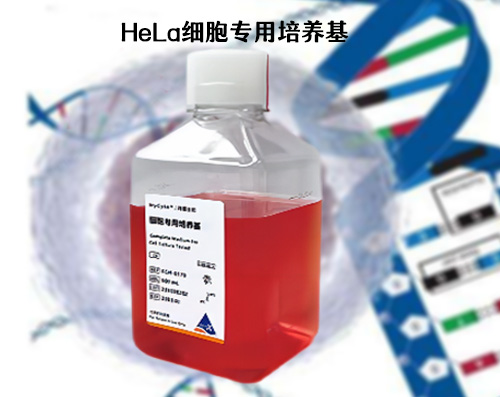 HeLa细胞专用培养基