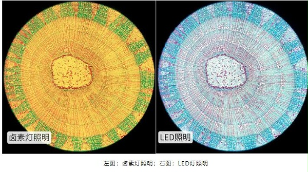 卤素灯照明右图LED灯照明