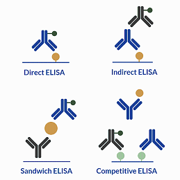 酶联免疫吸附试验-ELSIA的种类和应用