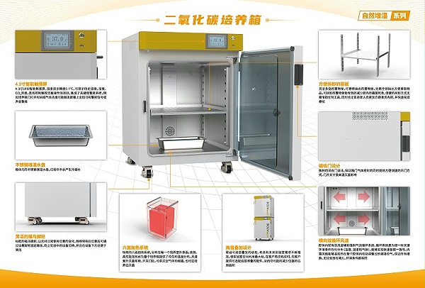 博旅二氧化碳培养箱