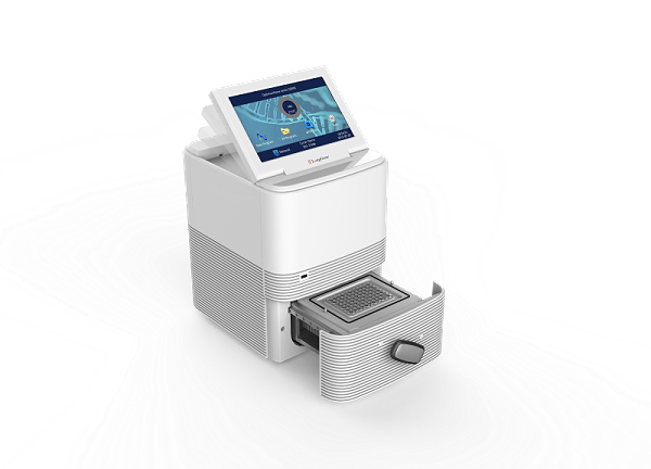 Q2000