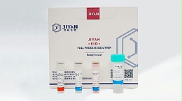 类器官包埋产品如何提升实验效率？SE-Gel 使用小技巧