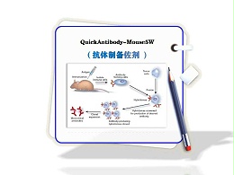 QuickAntibody-Mouse5W-抗体制备佐剂-免疫佐剂