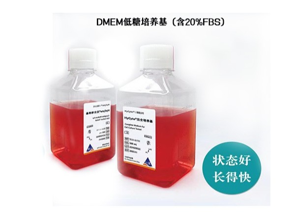 DMEM-低糖型完全培养基