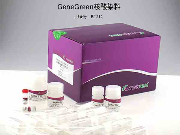 GeneGreen核酸染料