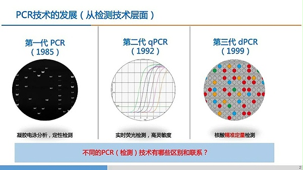 PCR技术