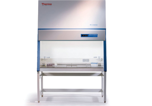 生物安全柜 THERMO