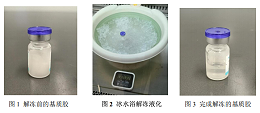 基质胶怎么用才不废