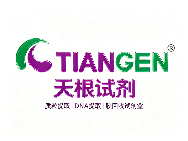 天根试剂盒