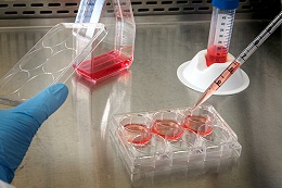 告别碎片化采购：实验室耗材一站式供应提升实验室效率与管理水平