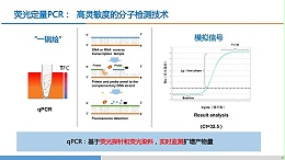 荧光定量PCR仪实验方法与条件优化指南