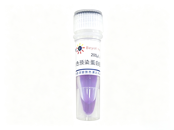 碧云天P0068-彩色预染蛋白质分子量标准(10-180kD)
