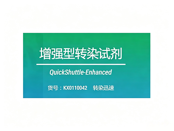 转染试剂