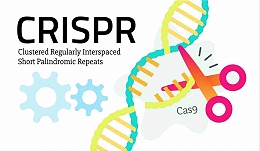 CRISPR/Cas9基因编辑技术及其在微藻研究中的应用