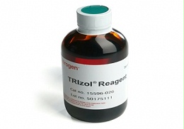 使用Trizol试剂进行样本的RNA提取的方法