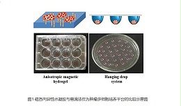 细胞培养
