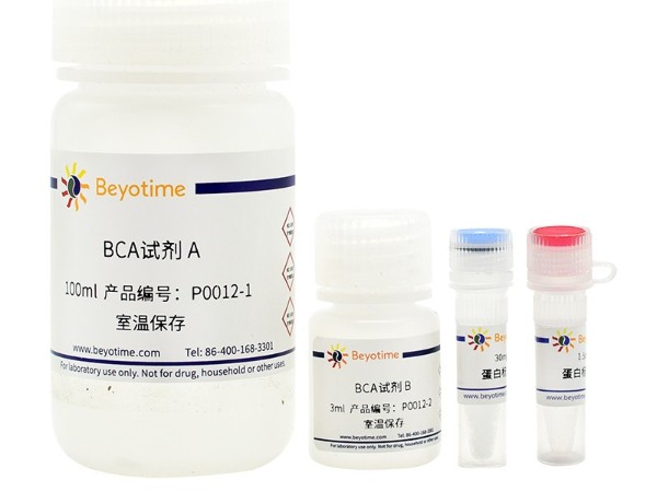 碧云天 BCA试剂盒蛋白浓度测定试剂盒P0012